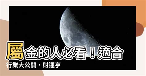 屬金的人適合行業|【屬於金的行業】財運亨通！五行屬金人事業必勝產業。